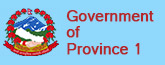 Government Portal of Gandaki Province